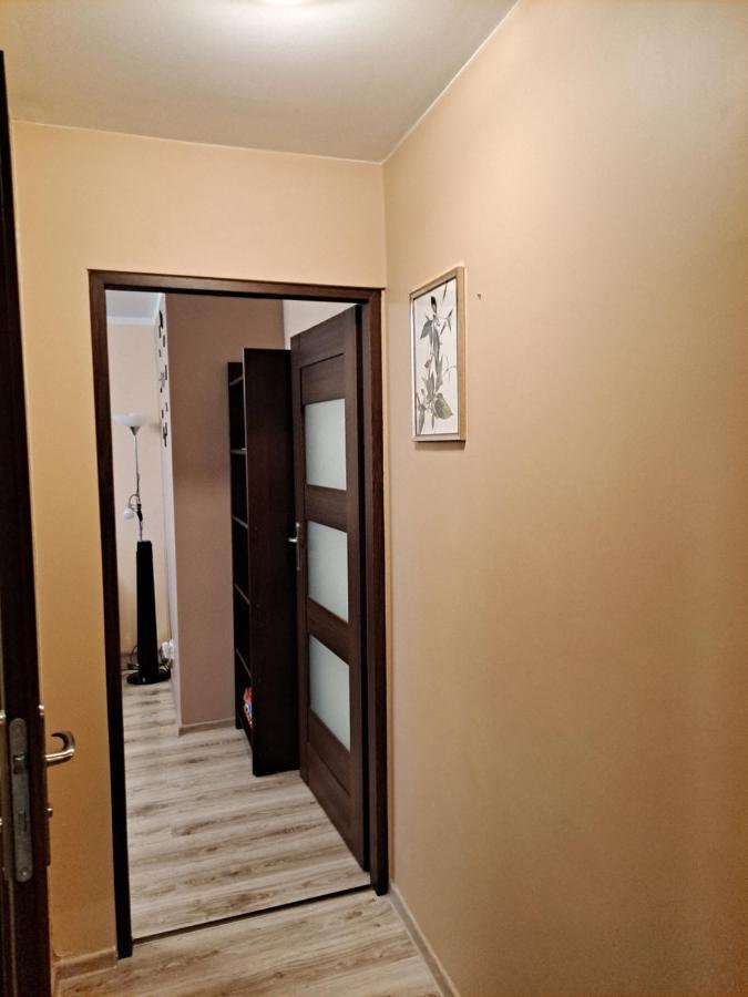 Monica Apartment Jelenia Gora Bagian luar foto
