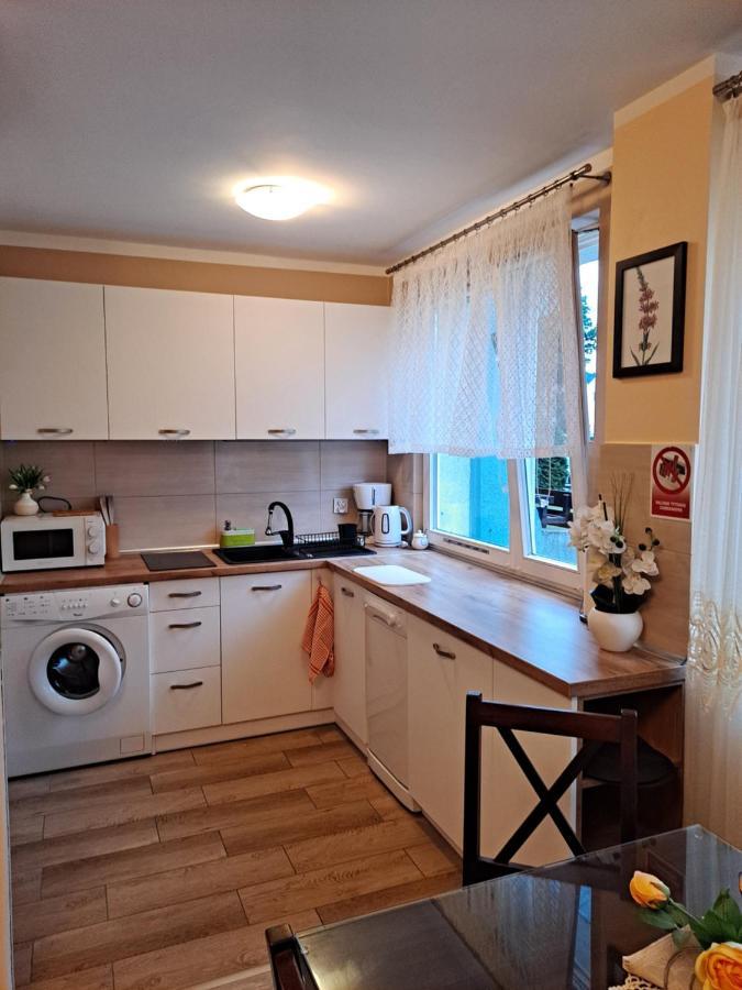 Monica Apartment Jelenia Gora Bagian luar foto